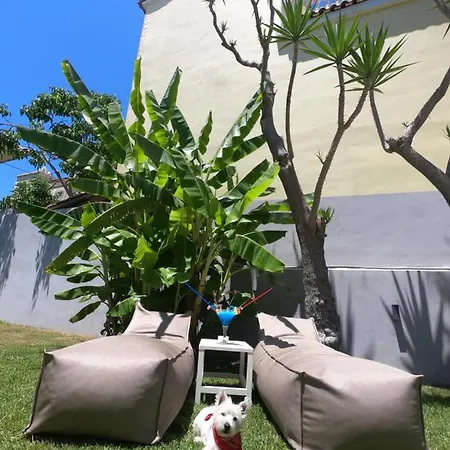 Paradise & Bar Aparthotel Plános