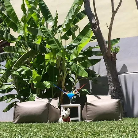 Paradise & Bar Plános